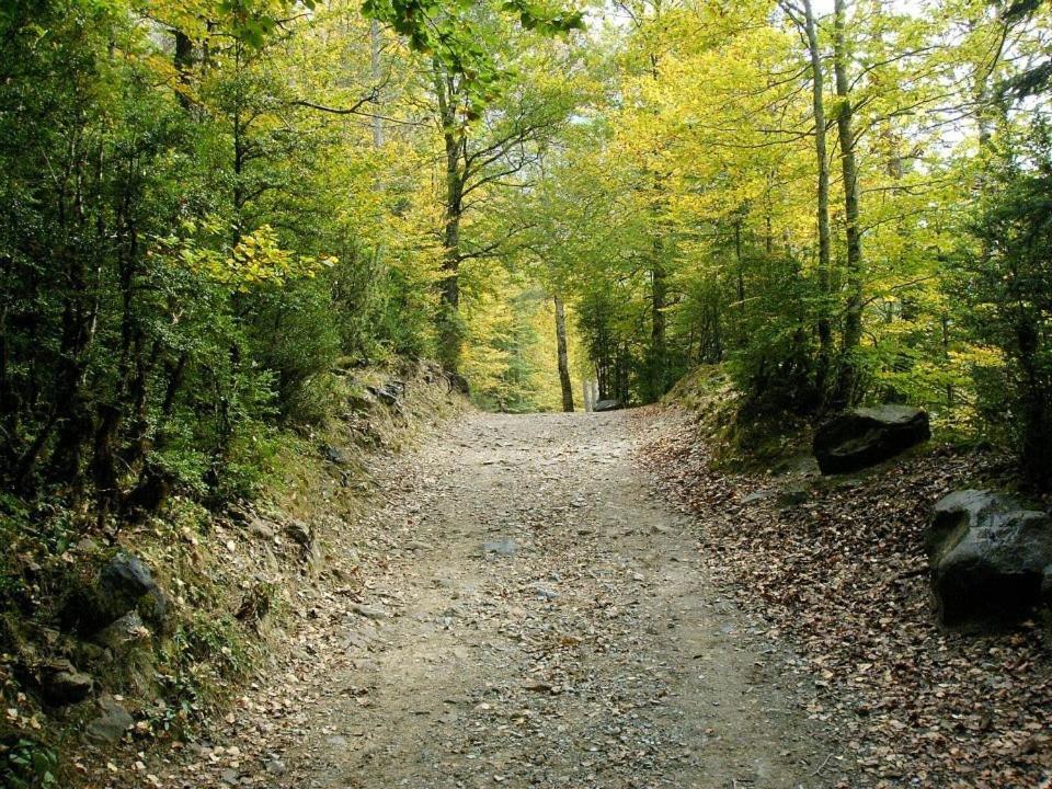 Apartamentos Pirineos Ordesa El Pueyo de Araguás Dış mekan fotoğraf